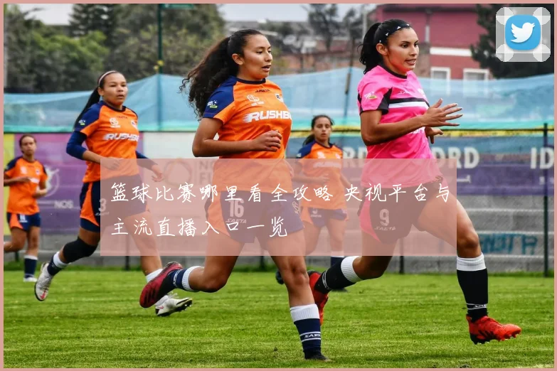 篮球比赛哪里看全攻略 央视平台与主流直播入口一览