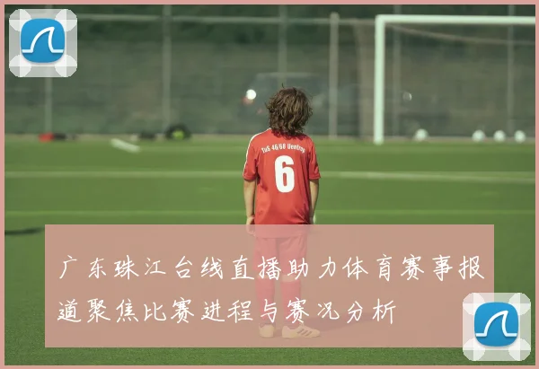 广东珠江台线直播助力体育赛事报道聚焦比赛进程与赛况分析