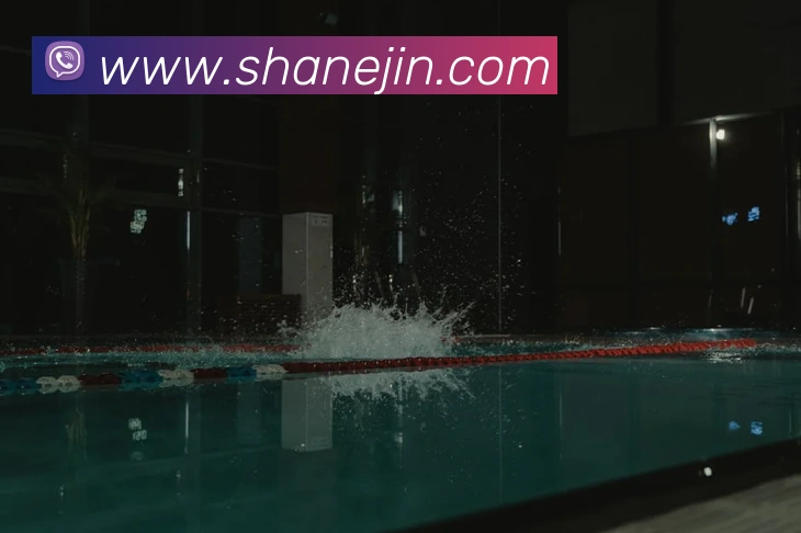 多媒体互动体验